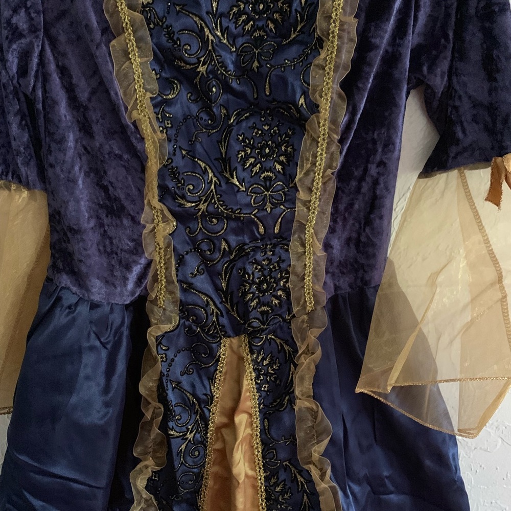 HALLOWEEN COSTUME - TITANIC ROSE OR RENAISSANCE